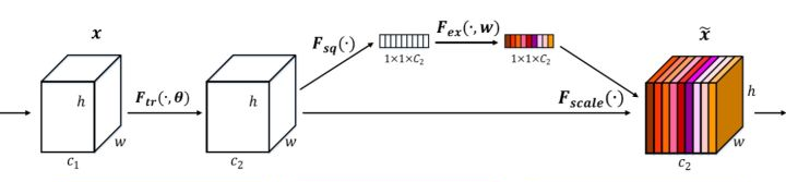 SENet